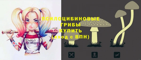 ешки Магас