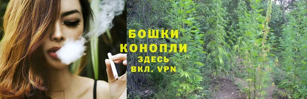 мяу мяу мука Медногорск