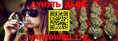 apvp Волжск