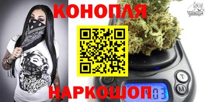 PSILOCYBIN Гатчина