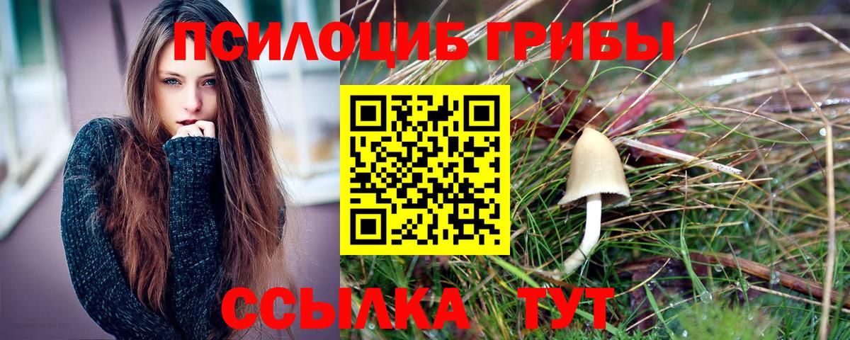 Галлюциногенные грибы Cubensis Владимир