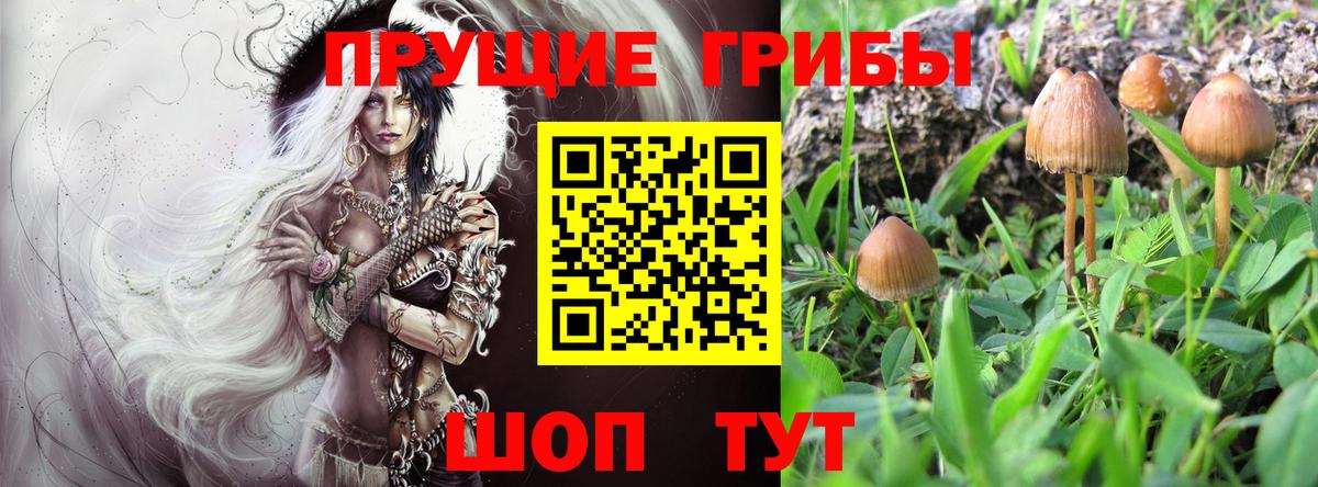 Галлюциногенные грибы мухоморы  Псилоцибиновые грибы Cubensis  Владимир 