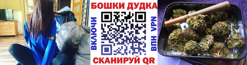Конопля Amnesia  где найти наркотики  Владимир 