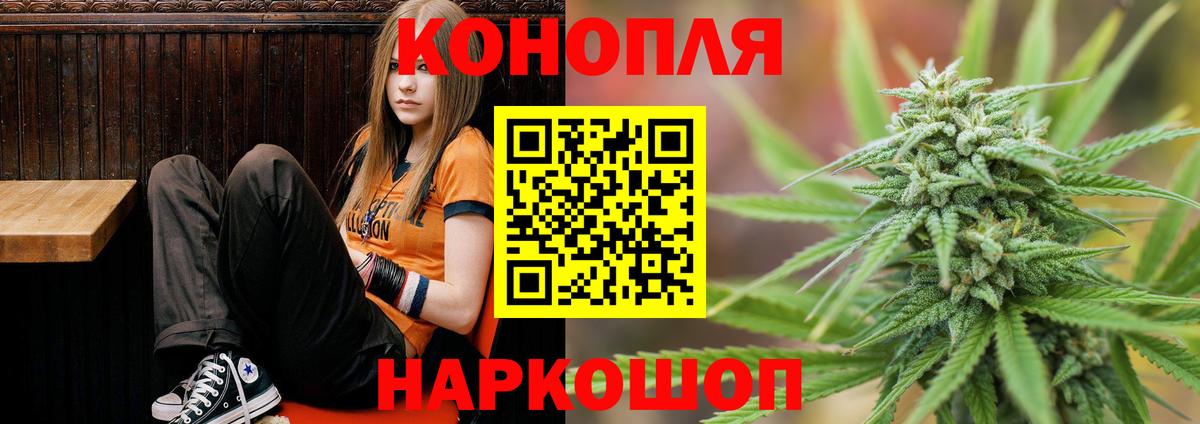Марихуана сатива  Бошки марихуана планчик  Вход с VPN  Каннабис сатива  Владимир 