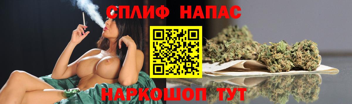 Конопля марихуана Владимир